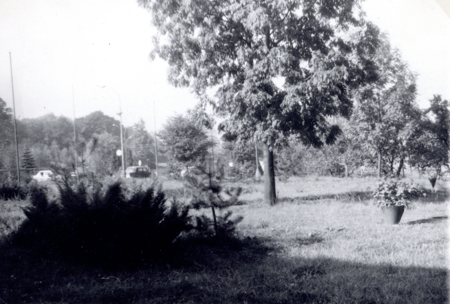 Pohled na část parčíku u dolu Mír (Gabriela) na snímku z roku 1974. Dříve zde stával dům čp. 55, fotograf má za zády objekt čp. 124. (Identifikace fotografie: Petr Bindač)