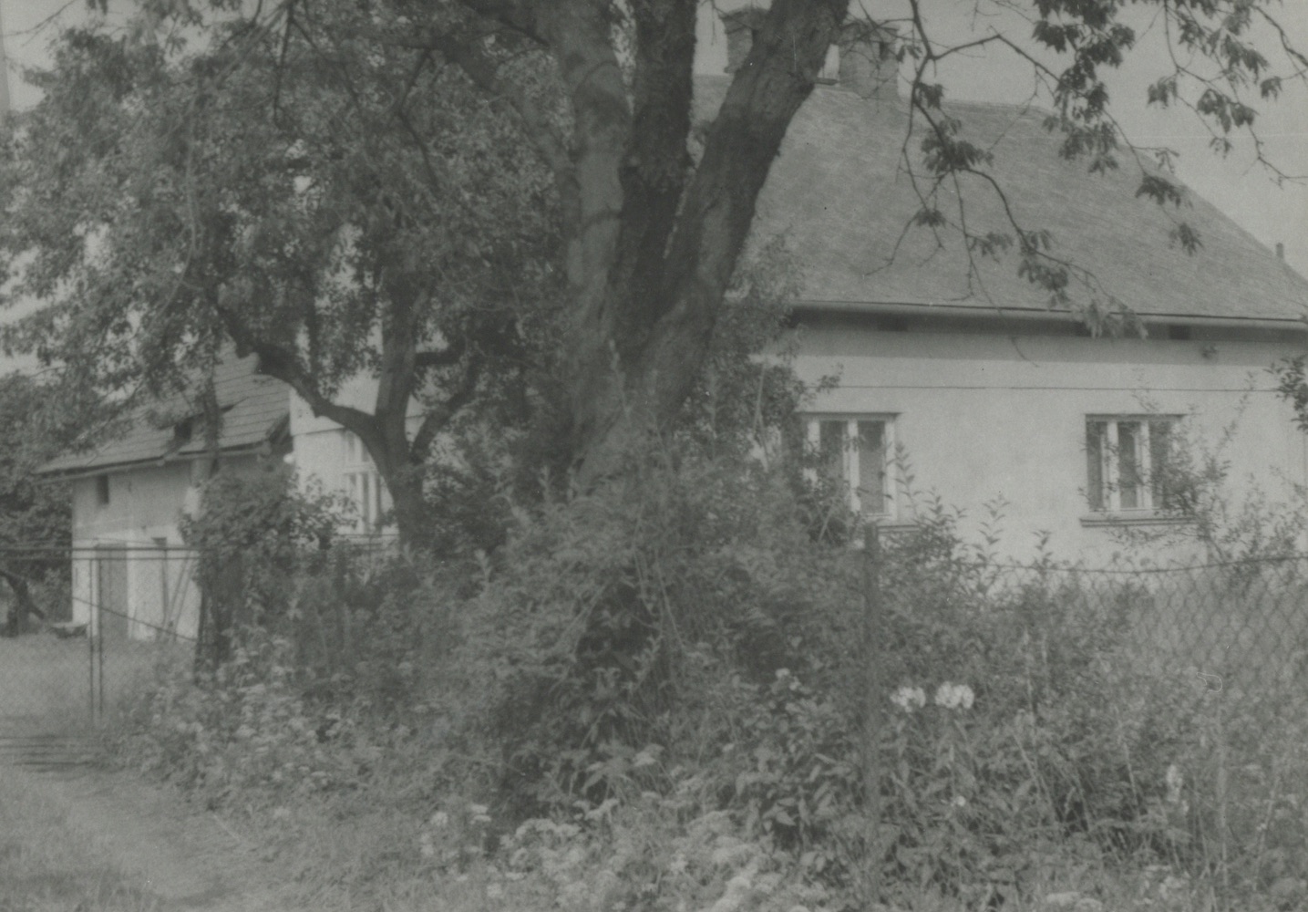 Dům čp. 16 na snímku z roku 1986 (poslední obyvatelé: Siuda E., Chlebik Č.)