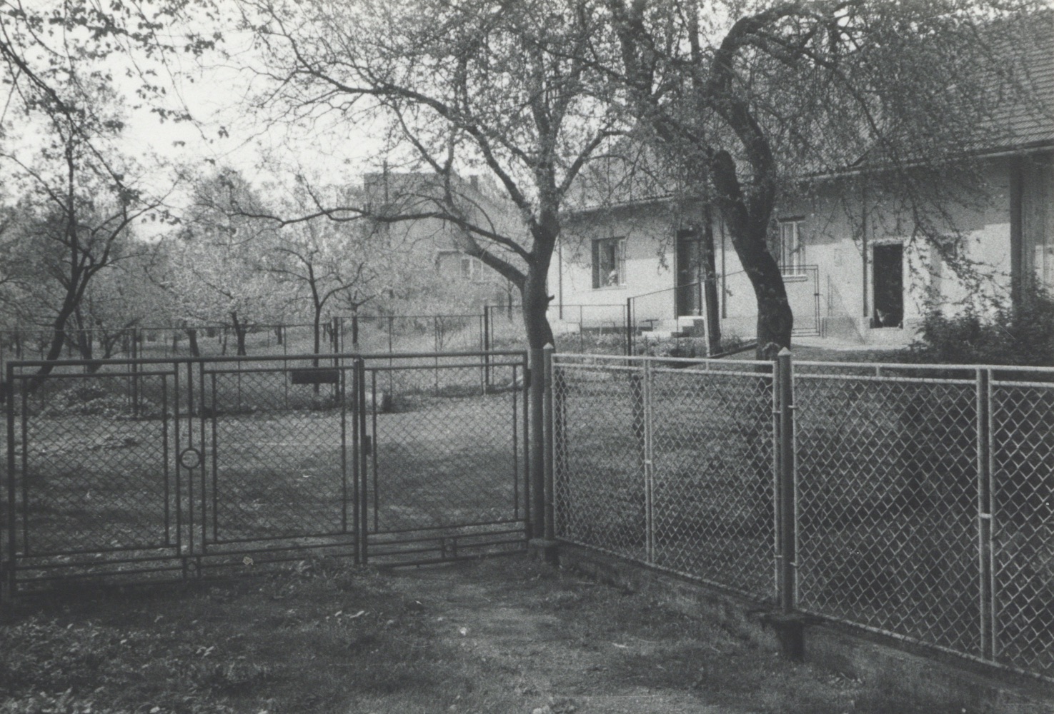 Dům čp. 160 (poslední obyvatelé: Witosz P.), vlevo v pozadí dům čp. 56. S laskavým svolením autora fotografie p. Roberta Rottera, ze soukromé sbírky