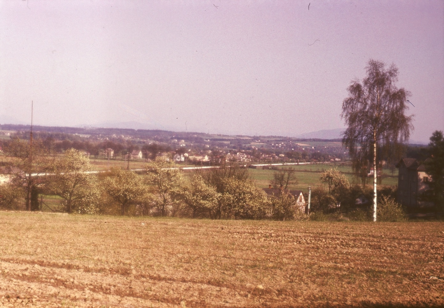 Úplně vpravo (ve stínu stromu) vysoký dům čp. 171 (poslední obyvatelé: Zilbigier, Hamrozi, Sztefek L.), nalevo od břízy pak částečně dům čp. 221 (se souhlasem autora fotografie p. Bronislava Filipczyka, ze soukromé sbírky)