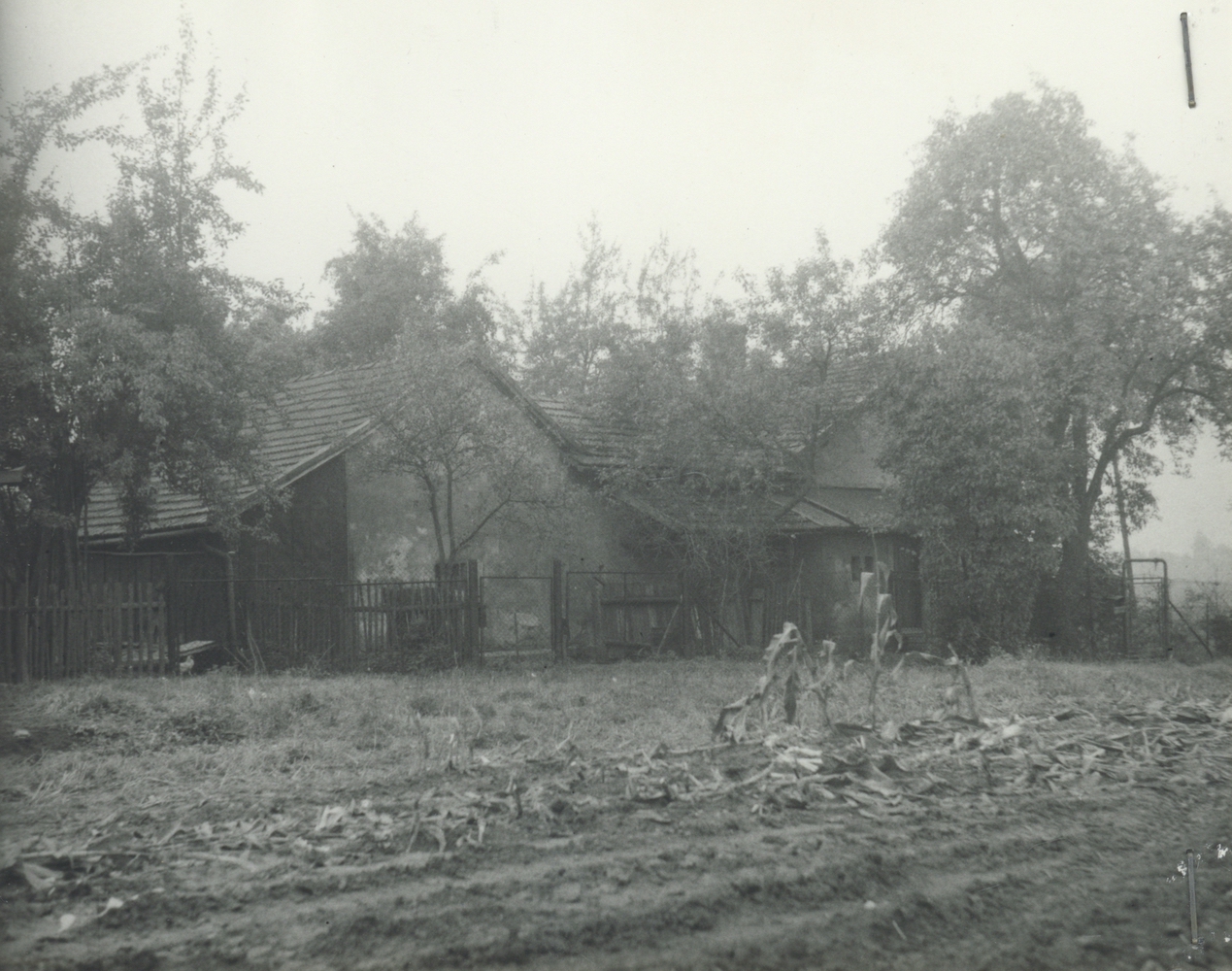 Dům čp. 209 v září 1981 (poslední obyvatelé: Mikulovi)