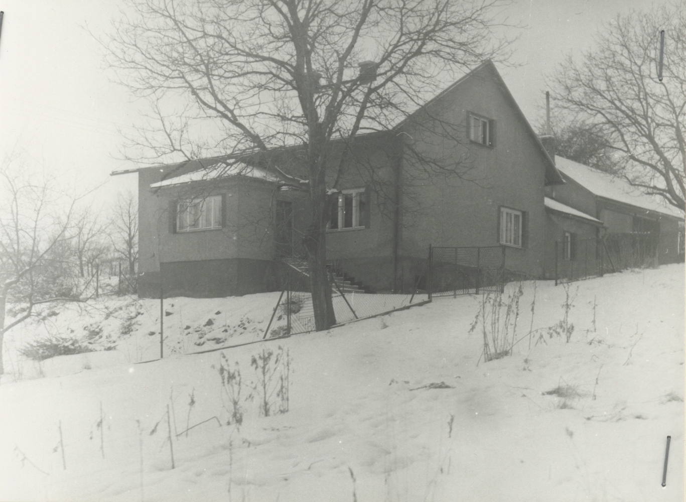 Dům čp. 213 v březnu 1981 (poslední obyvatelé: Feber J., Owczarzy Š.)