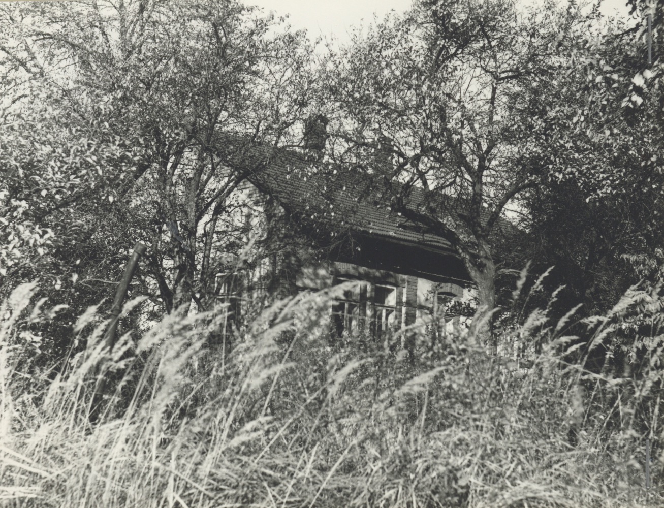 Dům čp. 225 na fotografii z roku 1979 (poslední obyvatelé: Bury J.)