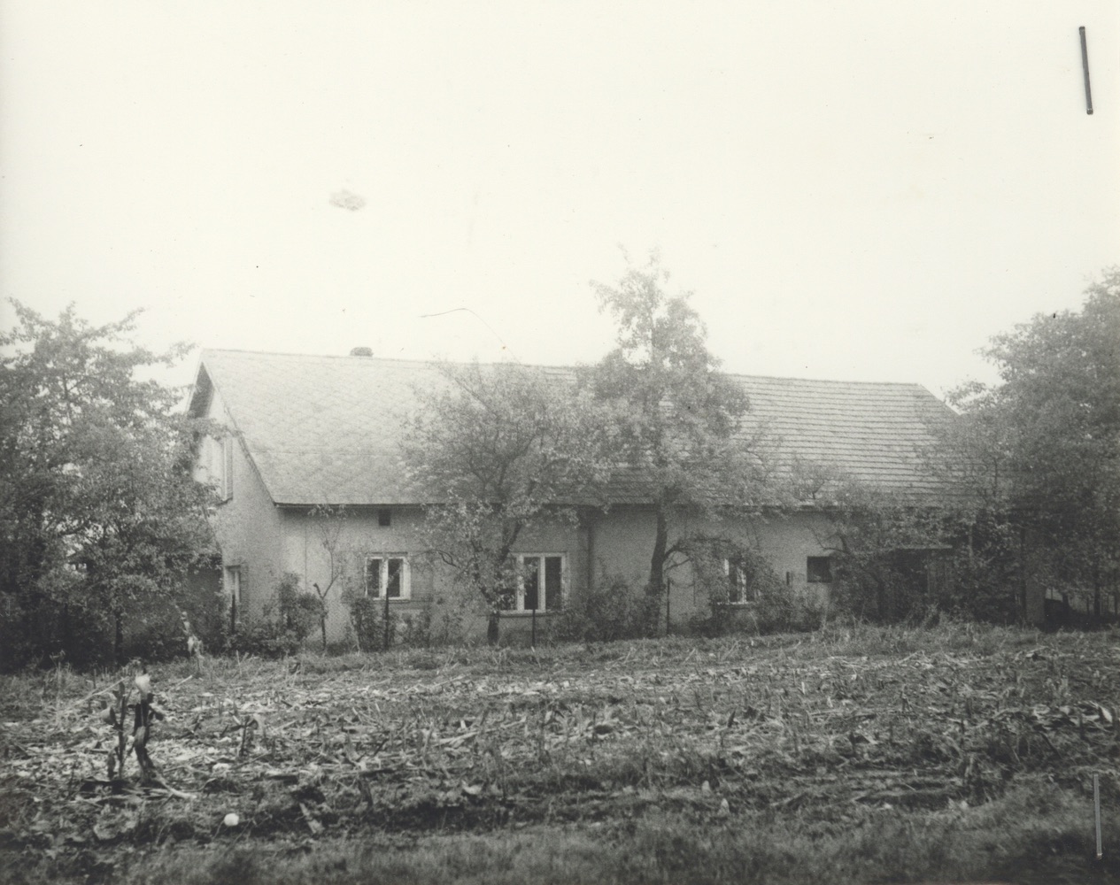 Dům čp. 241 na snímku z roku 1979 (poslední obyvatelé: Prymula, Muryc K.)