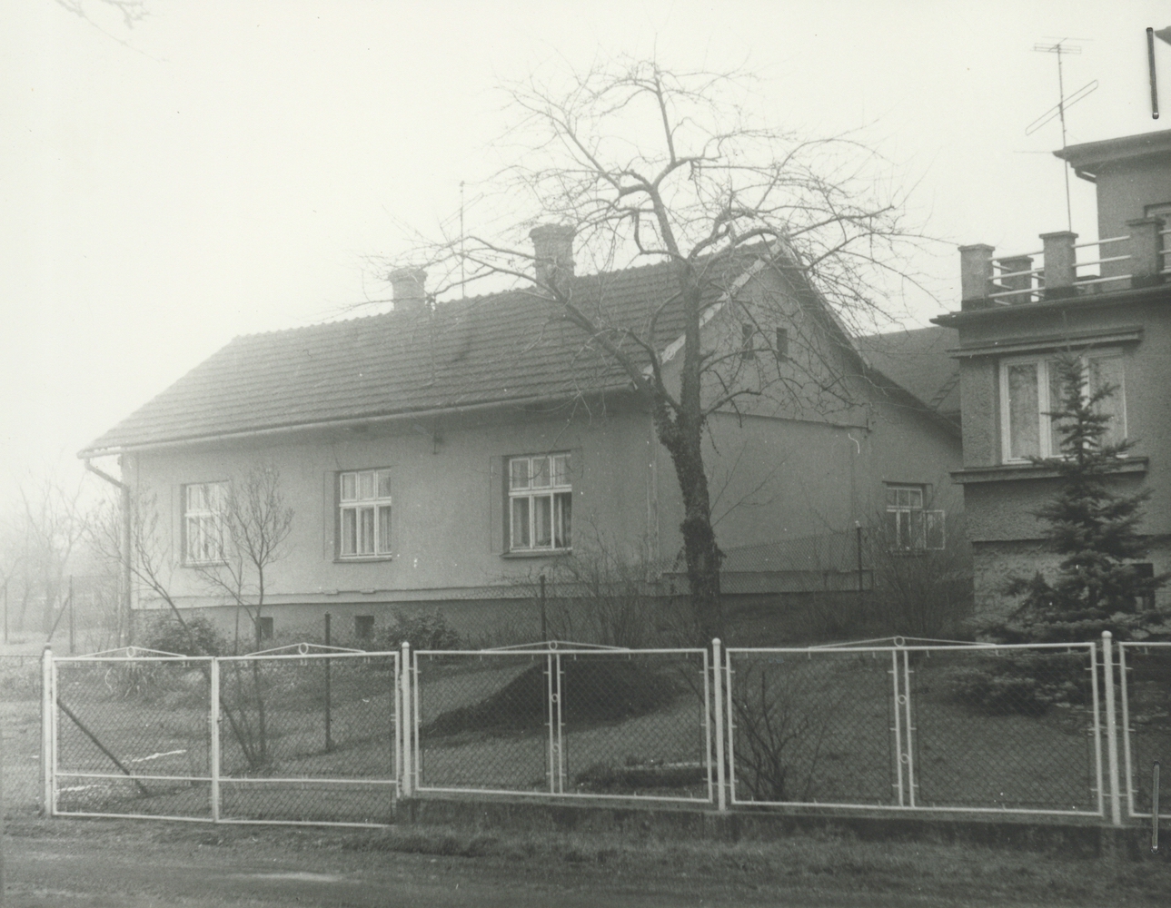 Dům čp. 246 v březnu 1981 (poslední obyvatelé: Kolatek J., Stawarski)