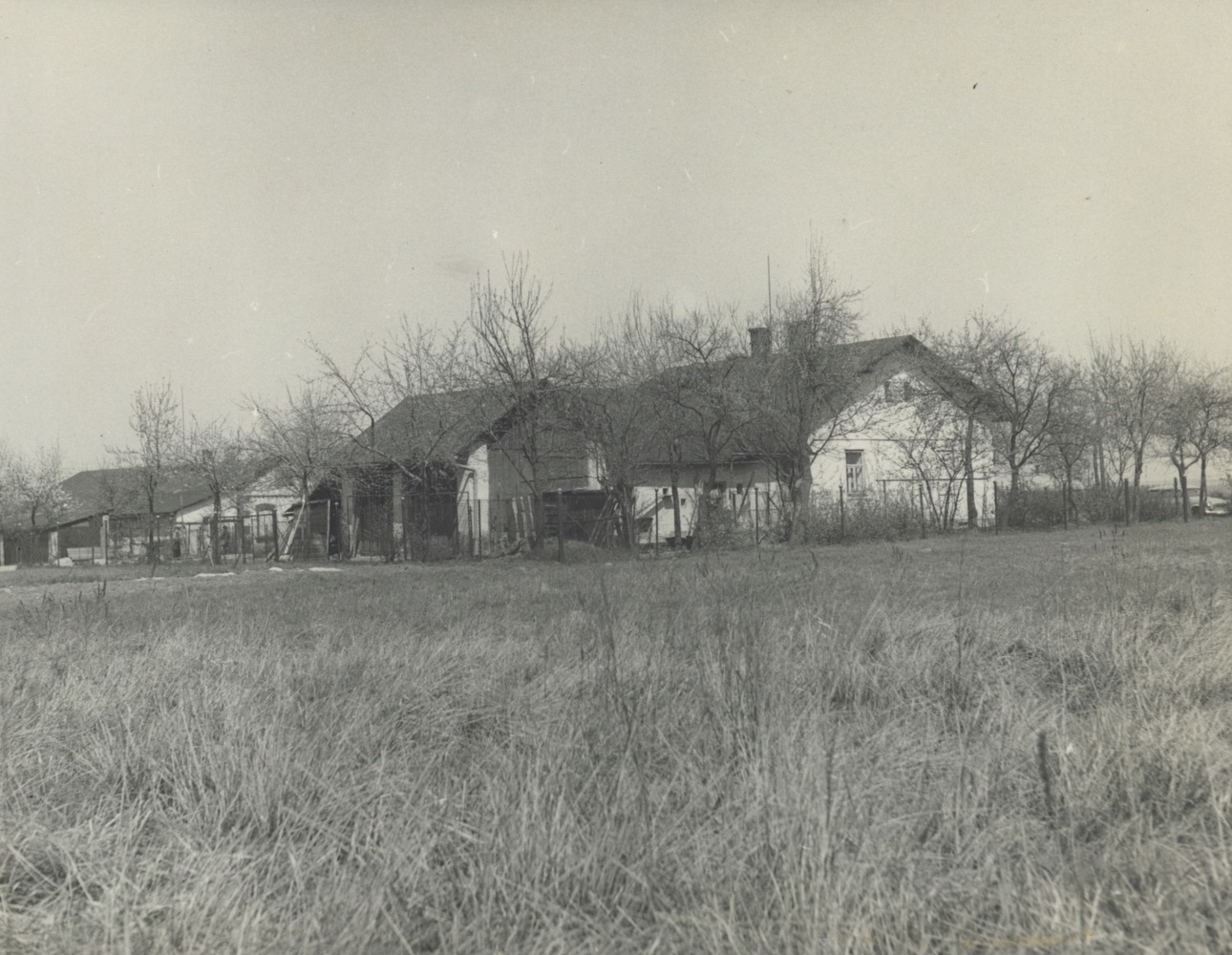 Dům čp. 248 na fotografii z roku 1975 (poslední obyvatelé: Kowalski J.)