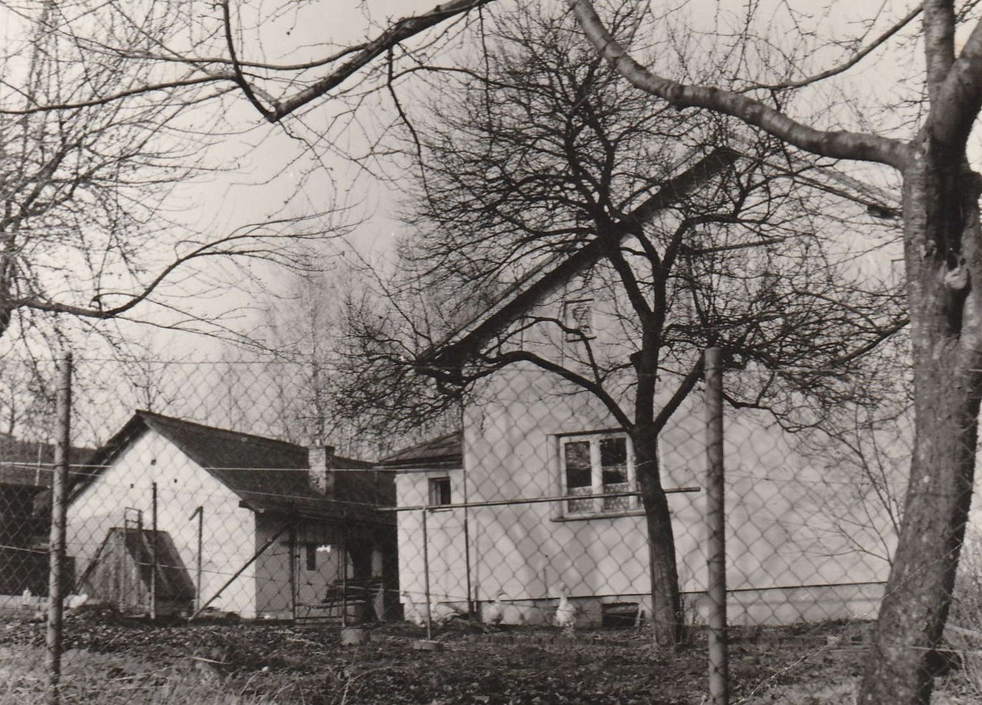 Dům čp. 254 po přestavbě na snímku přibližně z roku 1965 (S laskavým svolením p. Kateřiny Dědičové, ze soukromé sbírky)