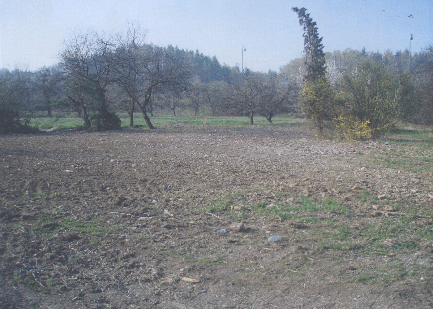 Parcela č. 704 po demolici domu čp. 300 (poslední obyvatelé: Widnicovi)