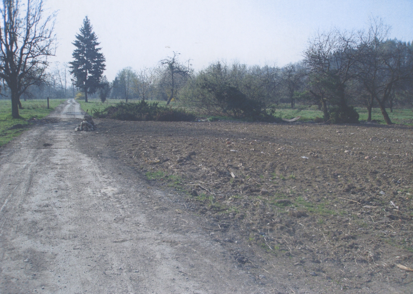 Parcela č. 704 po demolici domu čp. 300 (poslední obyvatelé: Widnicovi)
