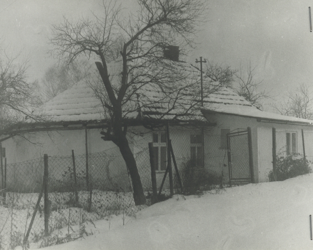 Dům čp. 409 v březnu 1981 (poslední obyvatelé: Nowak K.)