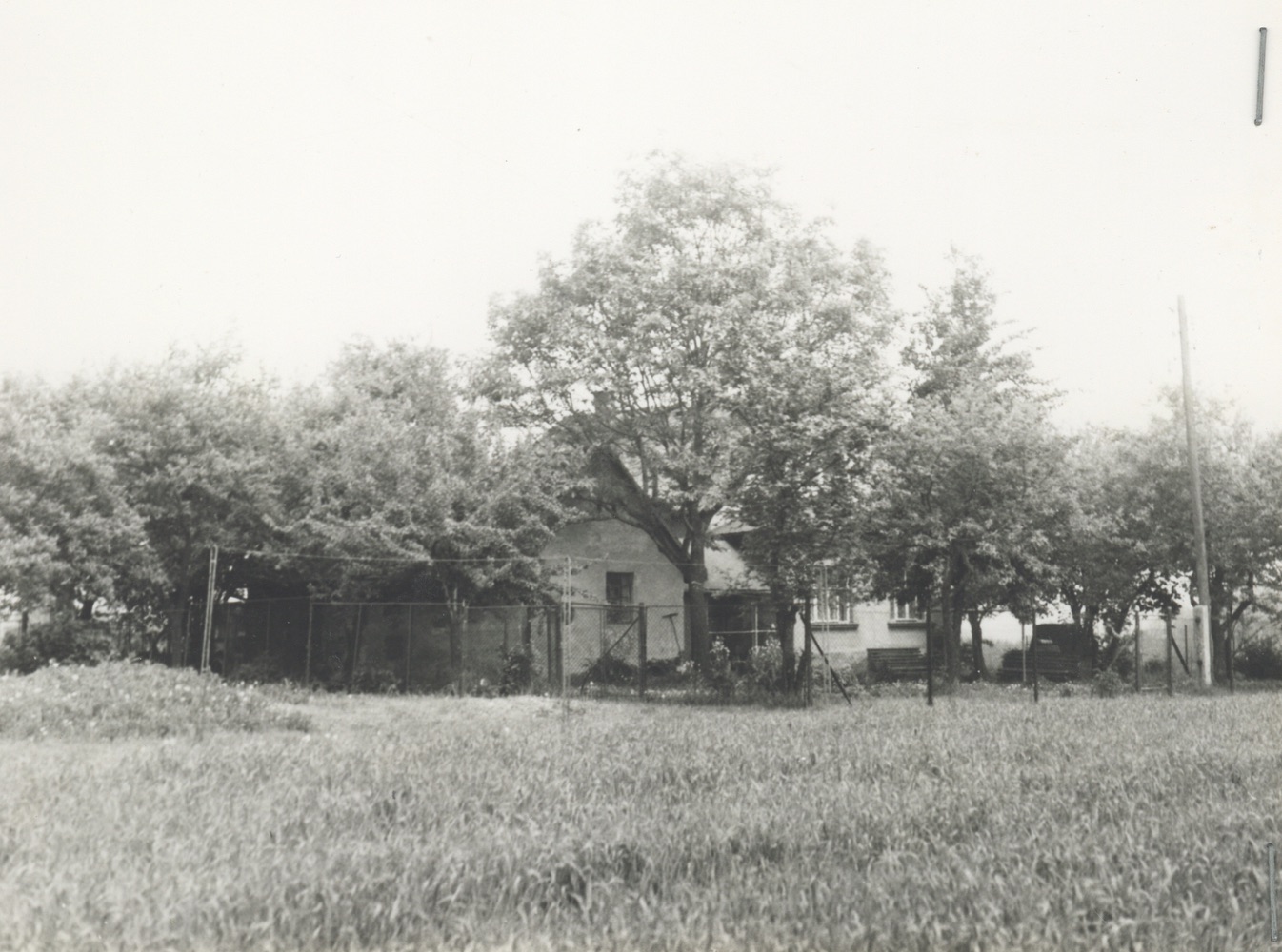 Dům čp. 431 na fotografii z roku 1984 (poslední obyvatelé: Lamacz B., Raszyk K.)
