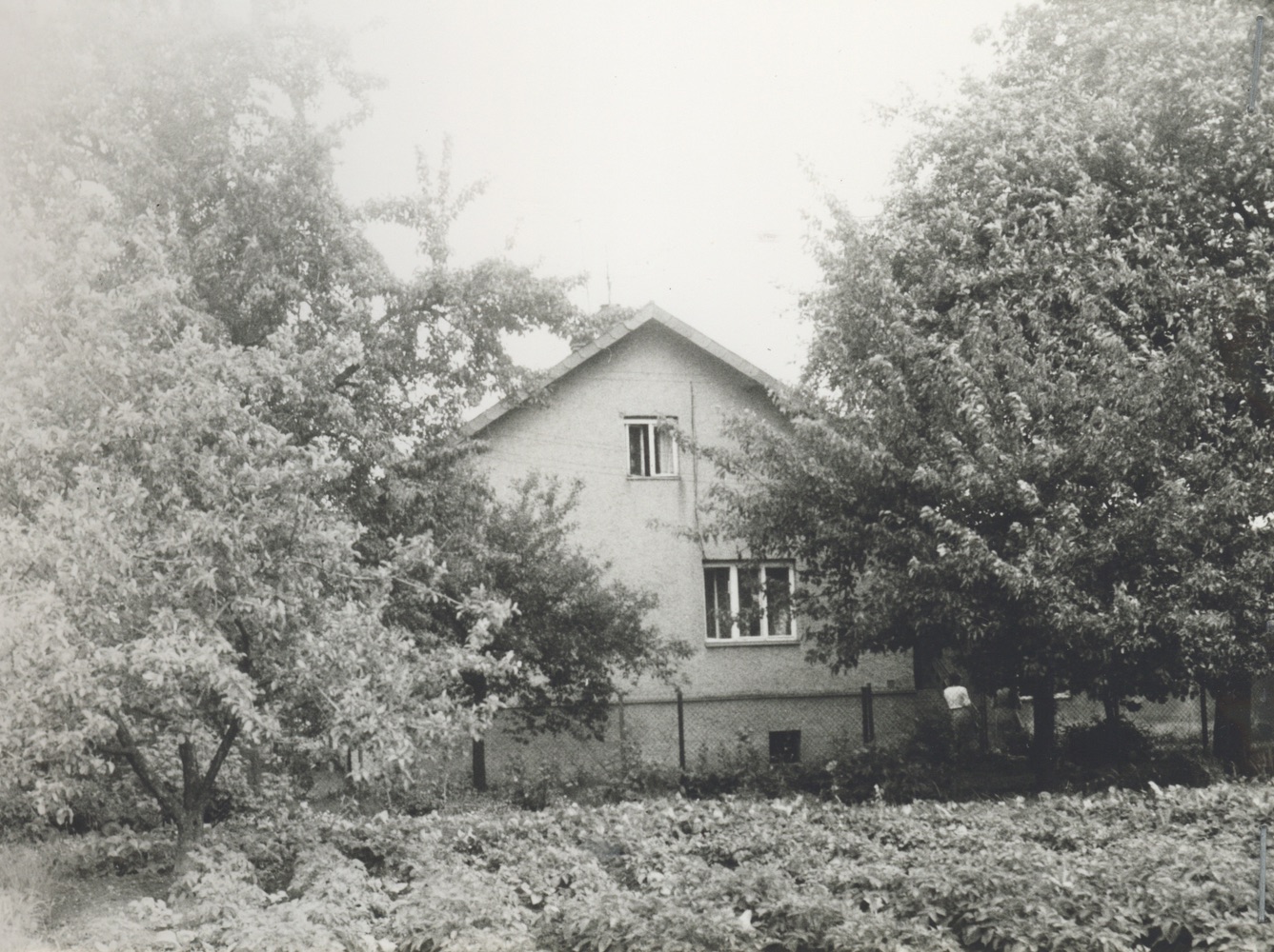 Dům čp. 431 na fotografii z roku 1984 (poslední obyvatelé: Lamacz B., Raszyk K.)