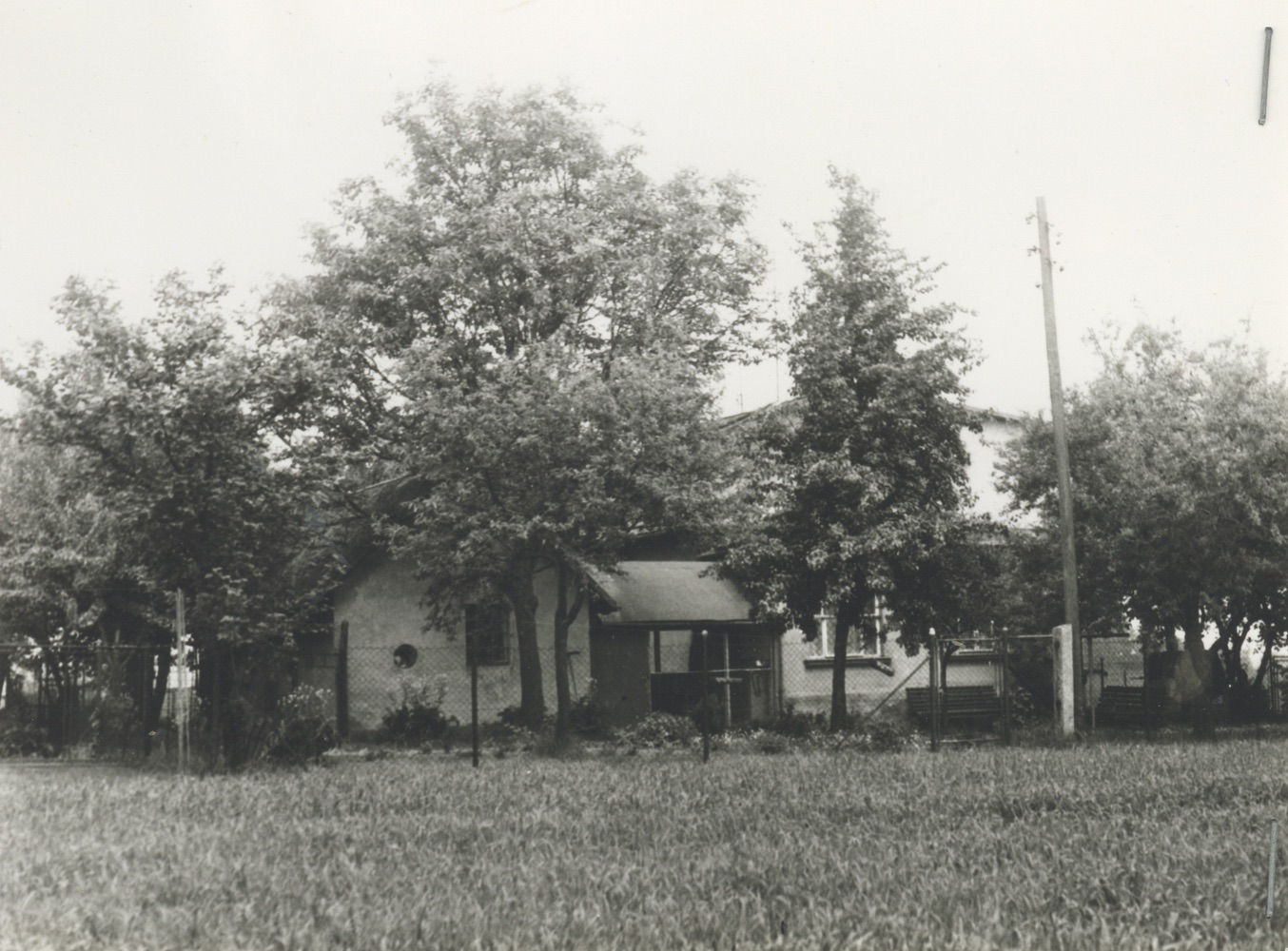 Dům čp. 431 na fotografii z roku 1984 (poslední obyvatelé: Lamacz B., Raszyk K.)