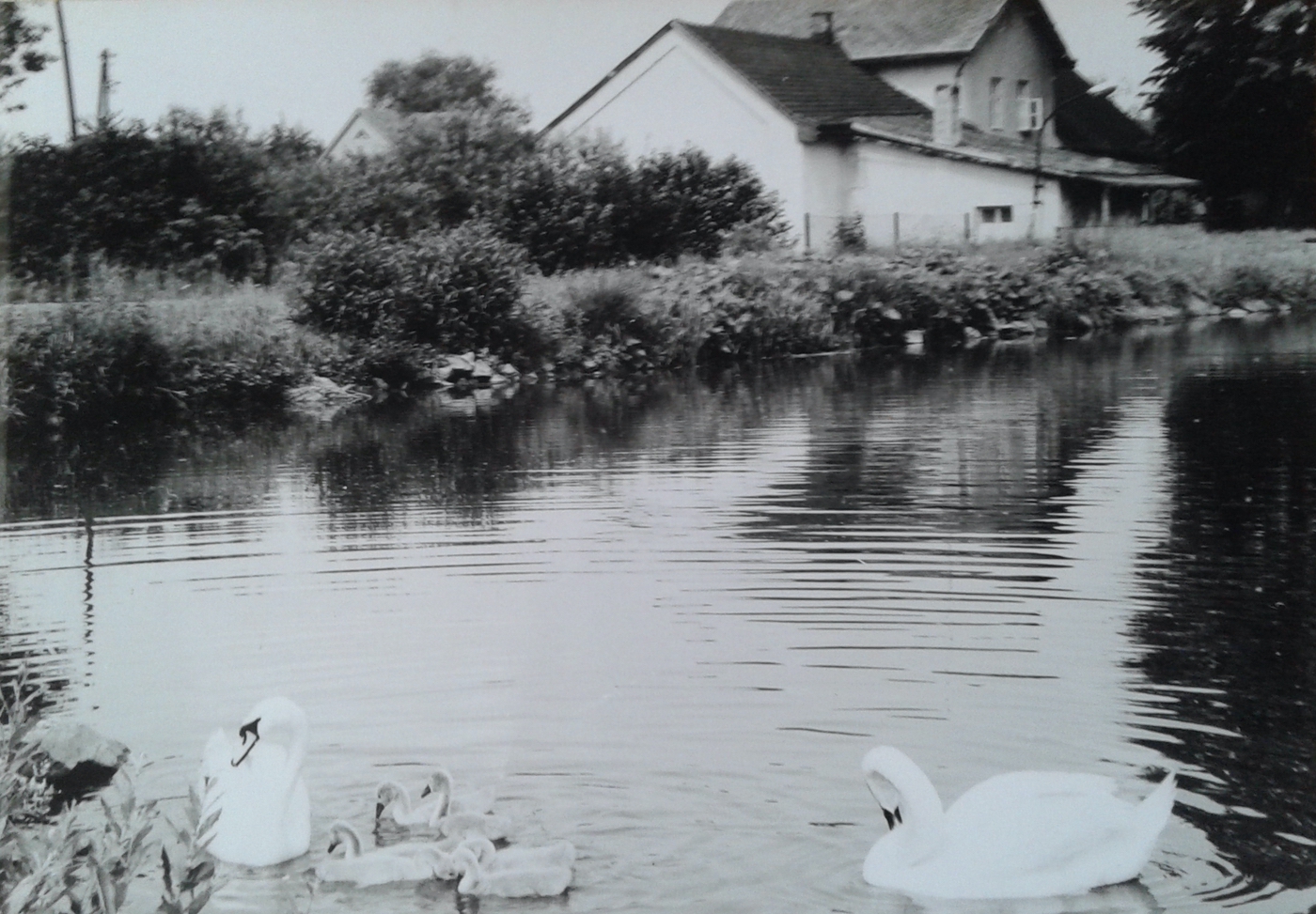 Dům čp. 44 (poslední obyvatelé: Pawlik E.)
