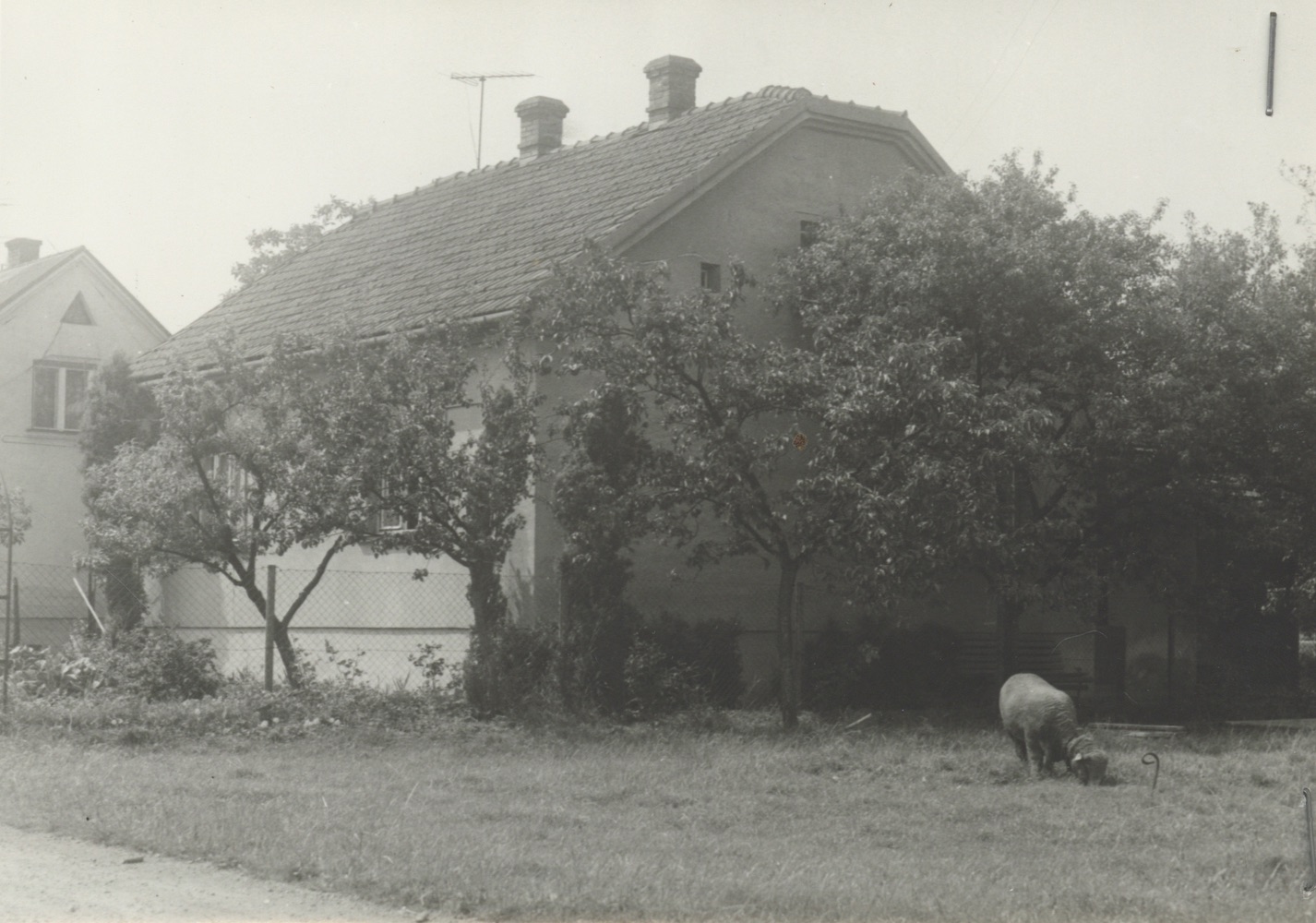 Dům čp. 463 (poslední obyvatelé: Szafarczyk B.)
