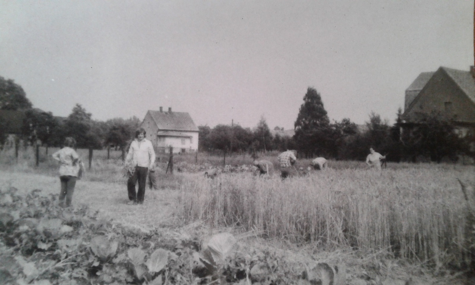 V pozadí snímku dům čp. 481 (poslední obyvatelé: Palarczyk E.), vpravo část domu čp. 532
