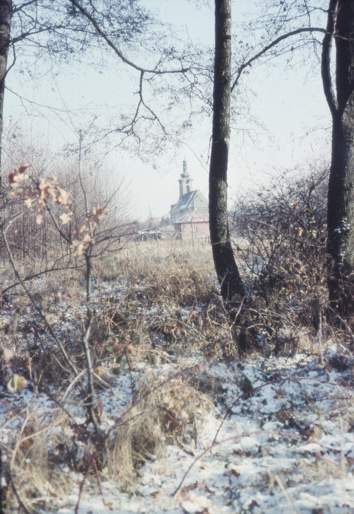 Za stromy část domu čp. 559 (poslední obyvatelé: Zielonka J.) a kostel sv. Barbory (s laskavým svolením autora fotografie p. Bronislava Filipczyka, ze soukromé sbírky)