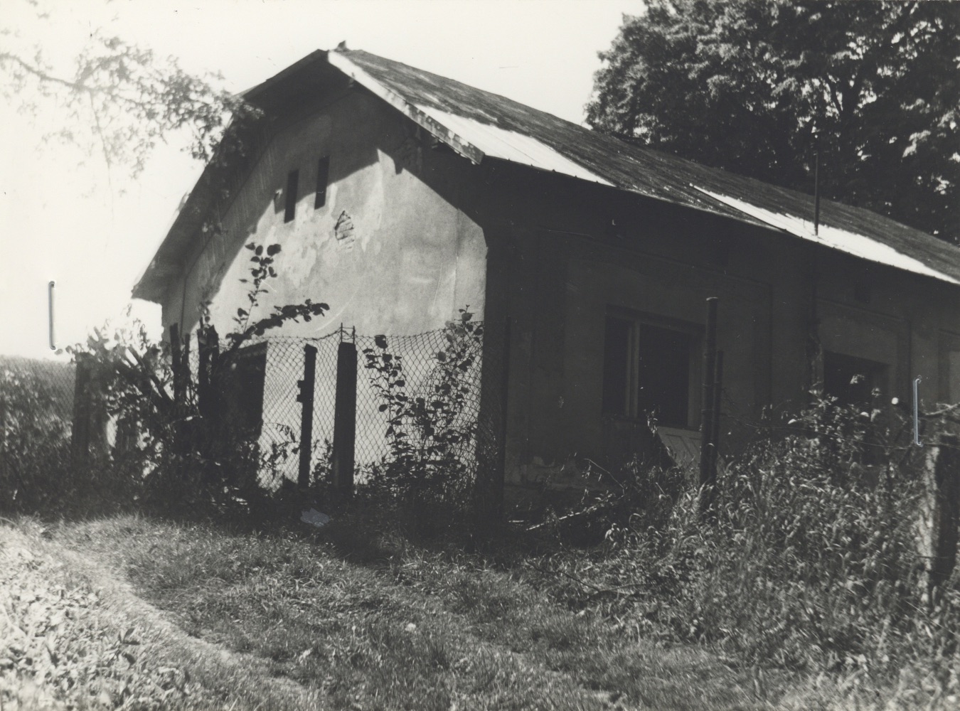 Dům čp. 59 na fotografii z roku 1989 (poslední obyvatelé: Golasowski, Navrátil)