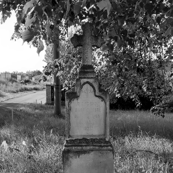 Stacks Image 2287