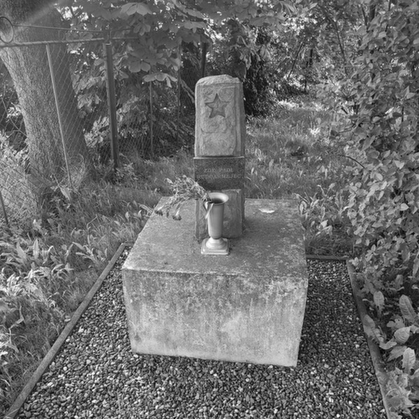 Stacks Image 2295