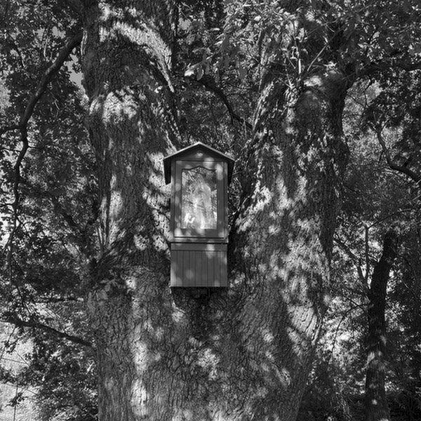 Stacks Image 1539