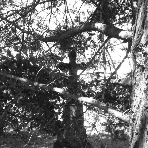 Stacks Image 1791