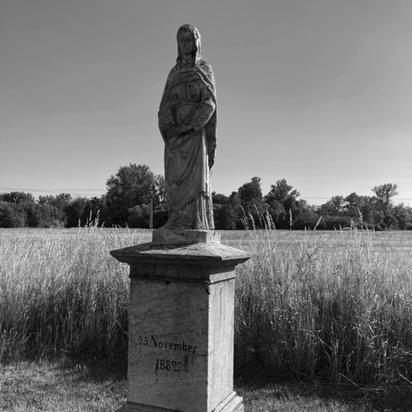 Stacks Image 1313