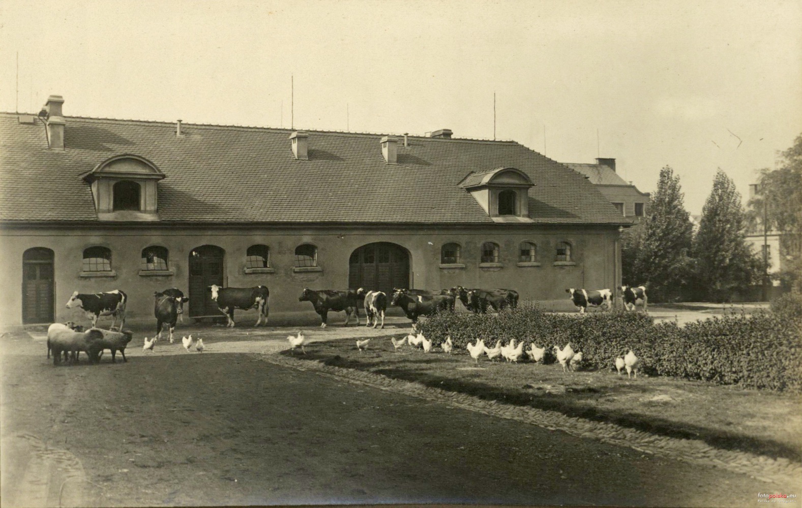 Solecký dvůr, hospodářská budova nového zámku, stáje. V pozadí, za střechou, část průčelí domu čp. 1616 (odkaz na originál: fotopolska.eu = klik na obrázek)