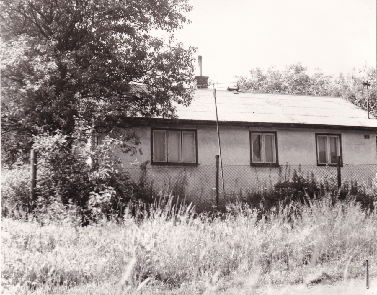 Dům čp. 50 (II) v Solci na snímku z roku 1980