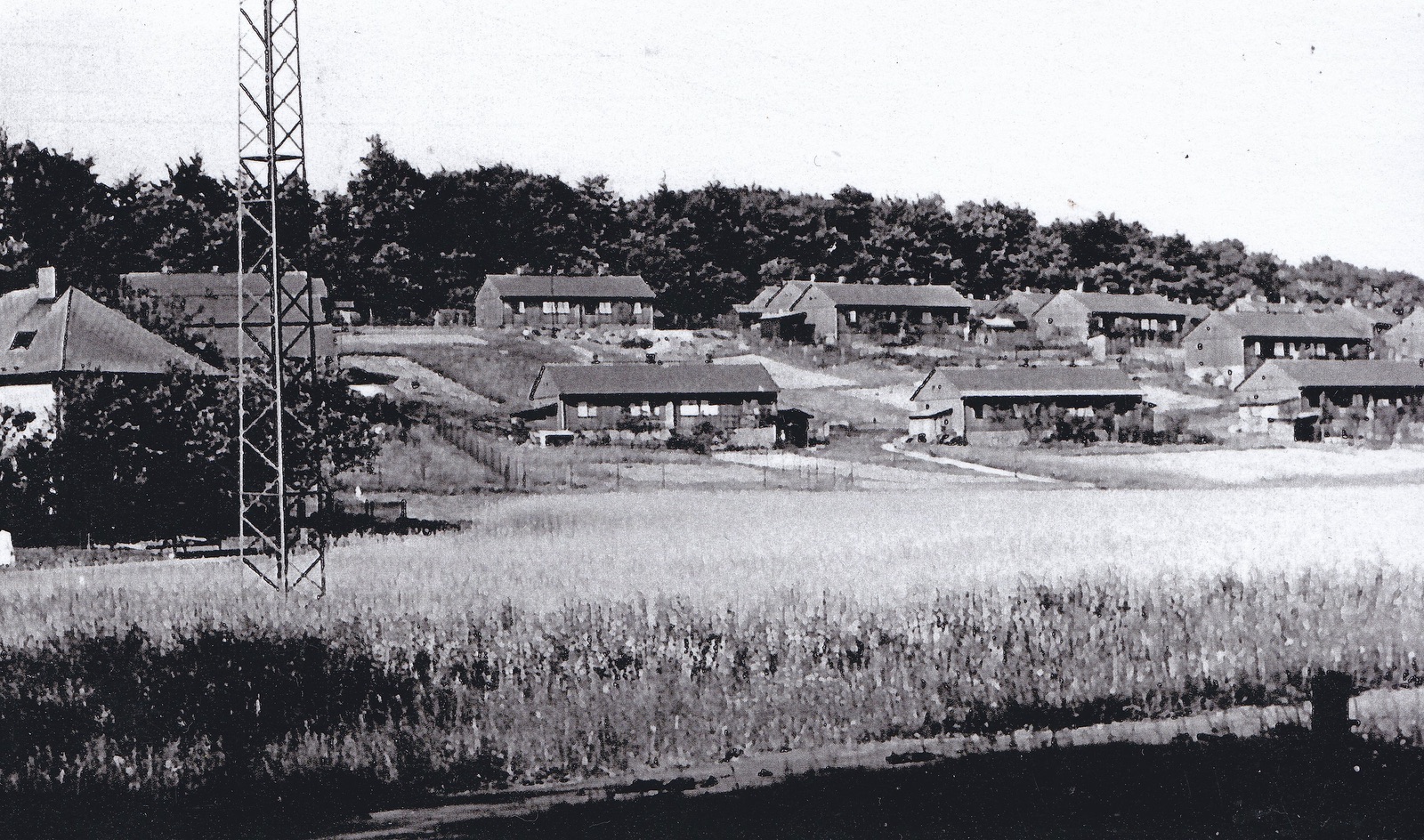 Kolonie finských domků v Solci (Zdroj: E. Schweserová, P. Bindač: SOLCA Tajemství zámeckého parku = KLIK NA FOTOGRAFII. Foto ze soukromé sbírky Zdeňka Janulka)