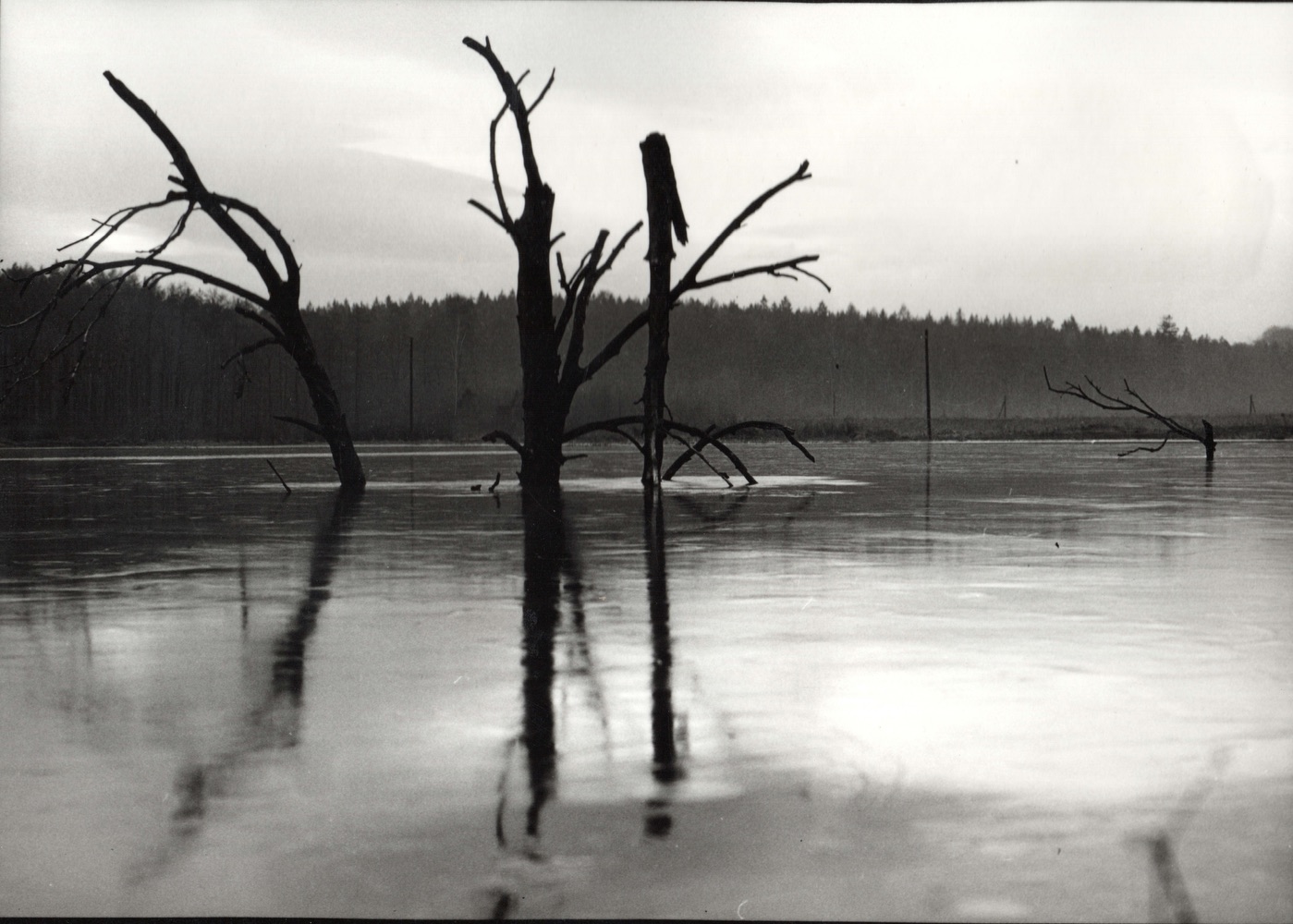Již z velké části zaplavená Solca. Snímek přibližně z roku 1970. (Zdroj: E. Schweserová, P. Bindač: SOLCA Tajemství zámeckého parku = KLIK NA FOTOGRAFII. Foto: Roman Dzik)