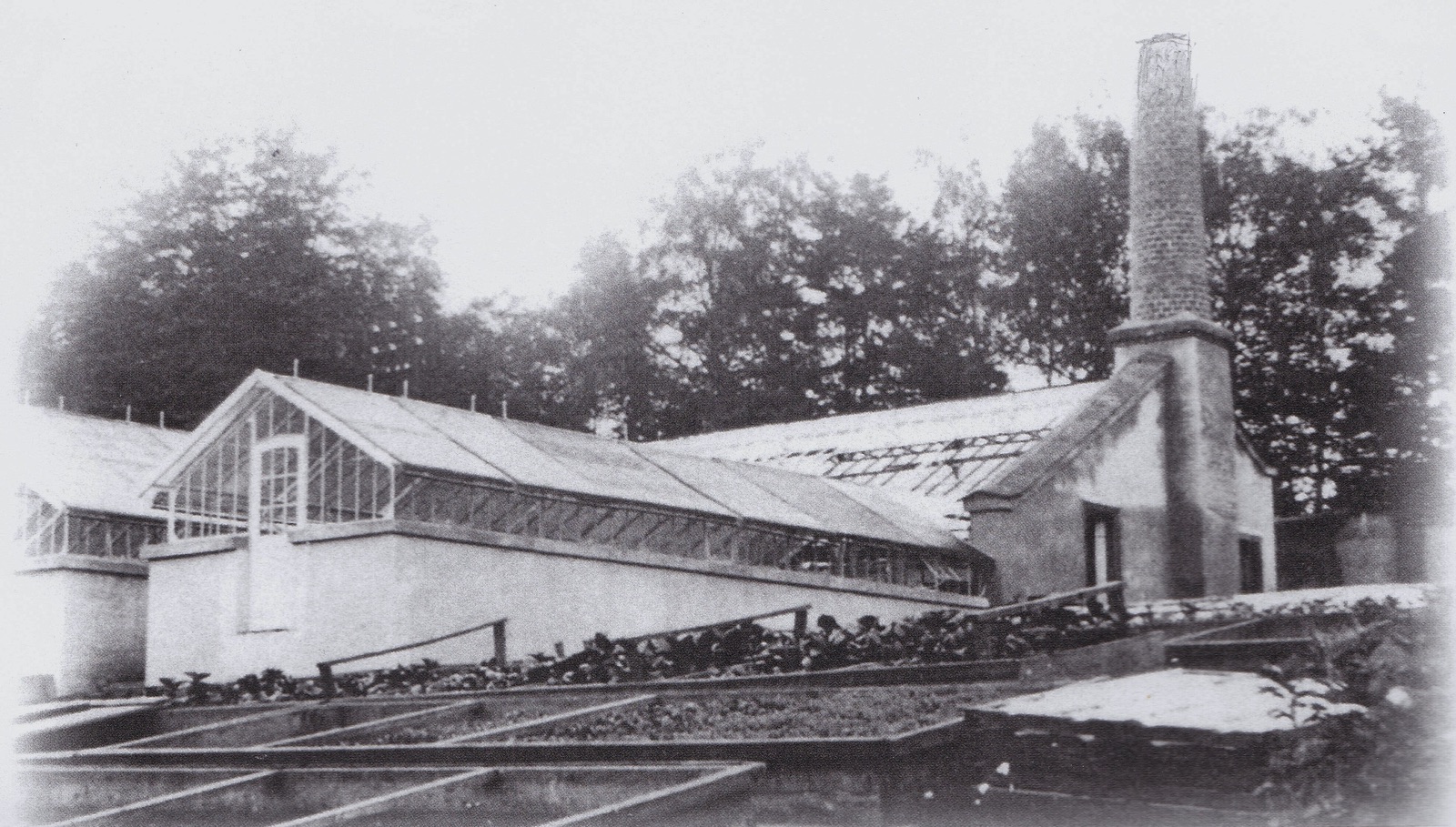 Zámecké skleníky (Zdroj: E. Schweserová, P. Bindač: SOLCA Tajemství zámeckého parku = KLIK NA FOTOGRAFII. Foto ze soukromé sbírky Zdeňka Janulka)