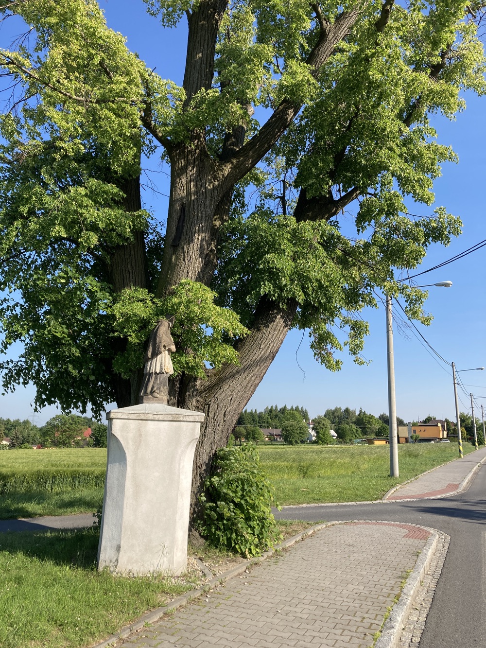 Socha sv. Jana Nepomuckého (Petrovice u Karviné). KULTURNÍ PAMÁTKA