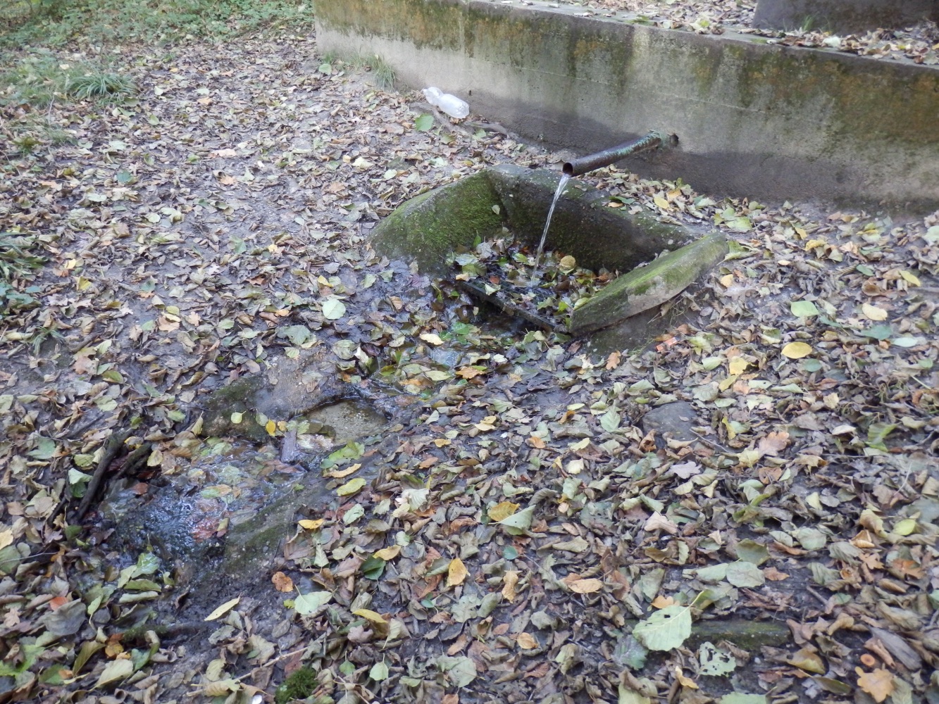 Kaplička u zázračné studánky v Orlové. (Fotografováno: říjen 2023. Autor: Mertlová Anna)
