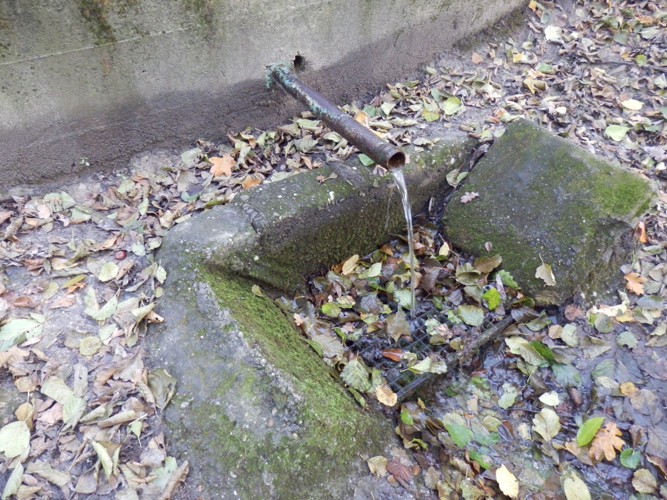 Kaplička u zázračné studánky v Orlové. (Fotografováno: říjen 2023. Autor: Mertlová Anna)