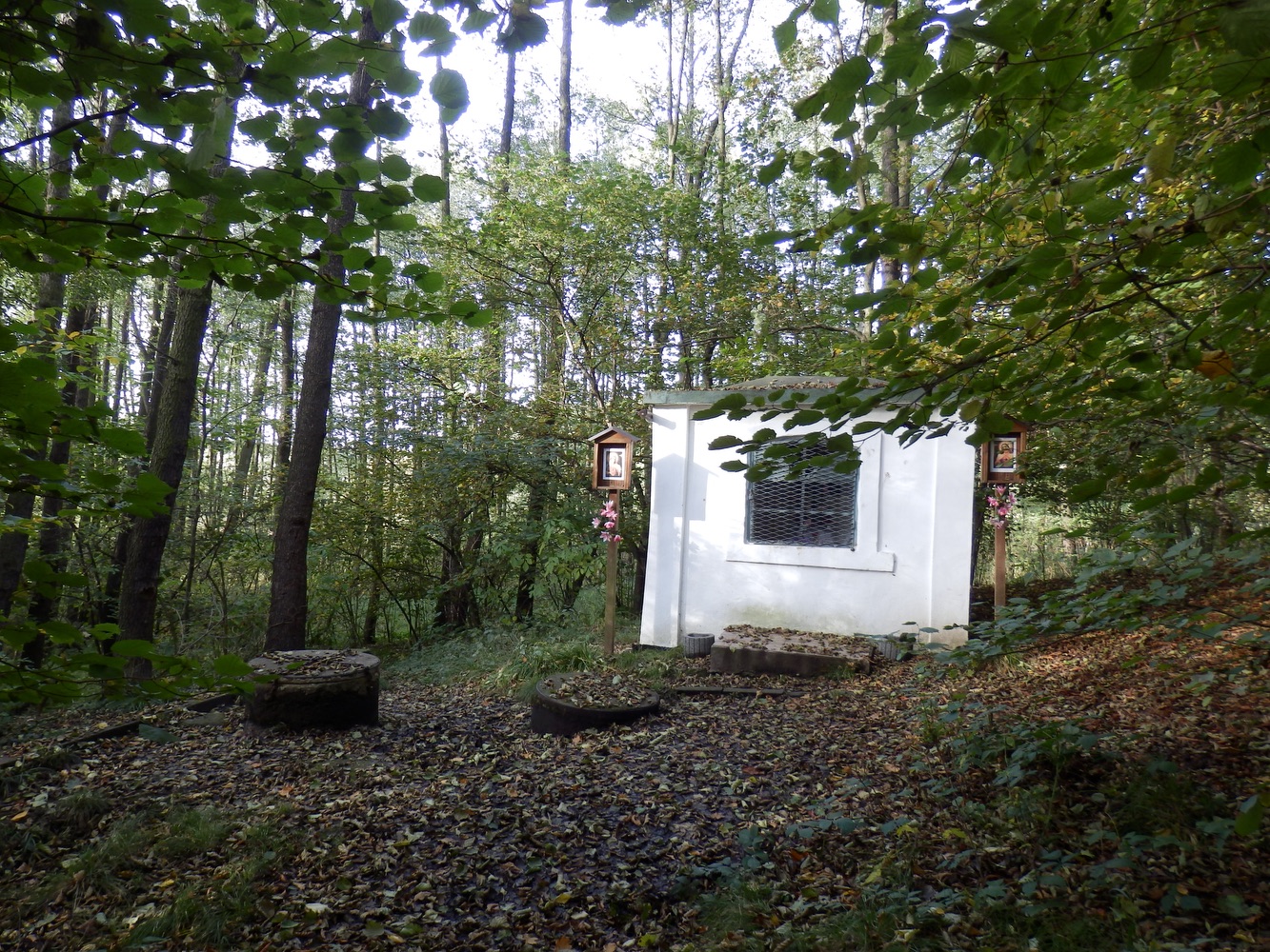 Kaplička u zázračné studánky v Orlové. (Fotografováno: říjen 2023. Autor: Mertlová Anna)