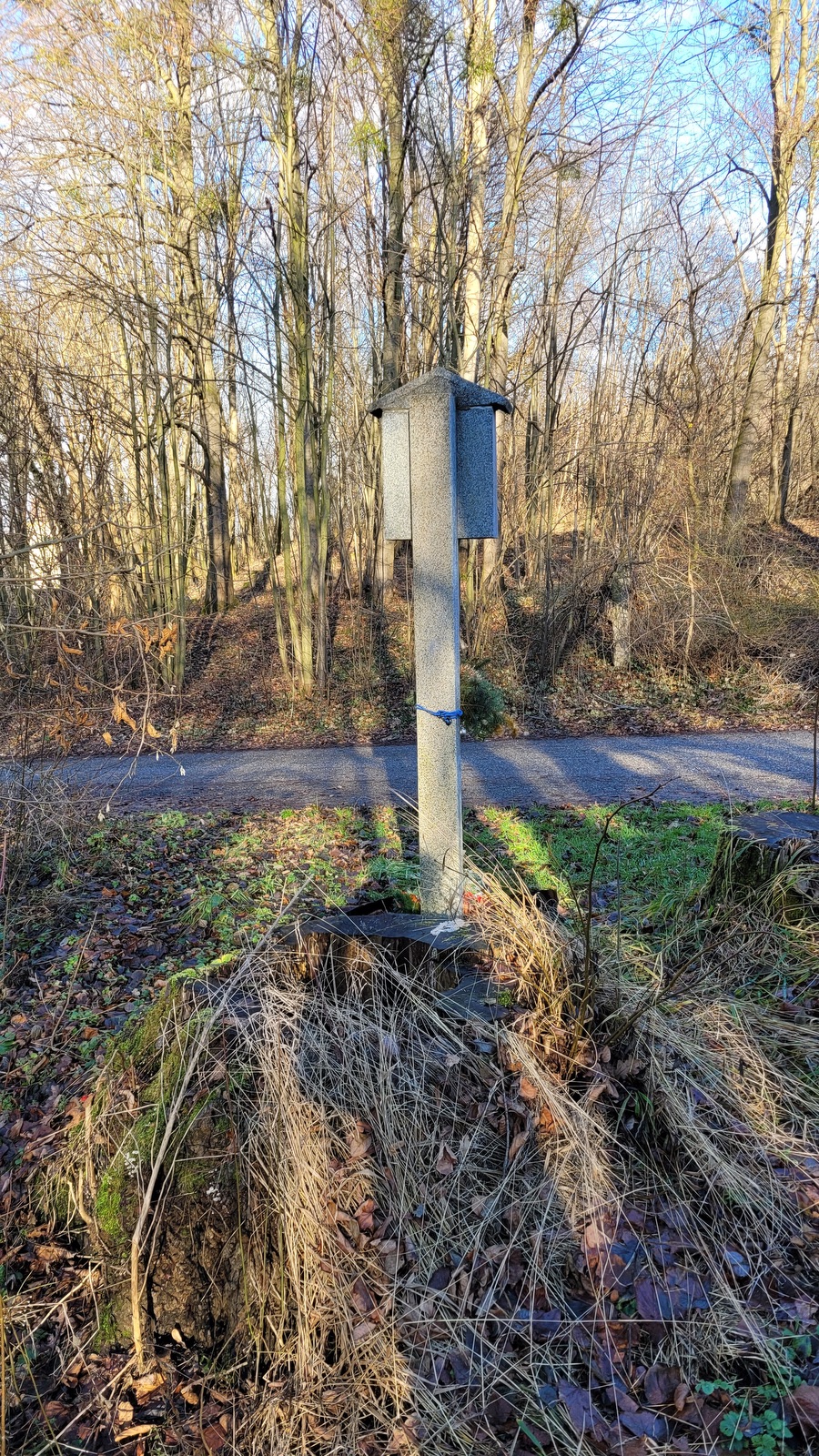 Obrázek Panny Marie u bývalé kolonie Mühsam v Orlové. Místu se říkalo: U Obrozka. Nynější podoba s nápisem Awe Maria pochází z roku 1941. Do té doby byl obrázek Panny Marie dle potřeby obměňován a upevňován na prostřední ze tří líp vysázených na upomínku tragické smrti asi tří lidí na počátku 20. století. V současné době již ani jedna lípa nestojí, jen torzo jednoho kmene leží poblíž... (Fotografováno: 28.12.2023. Autor a popis: Petr Bindač)
