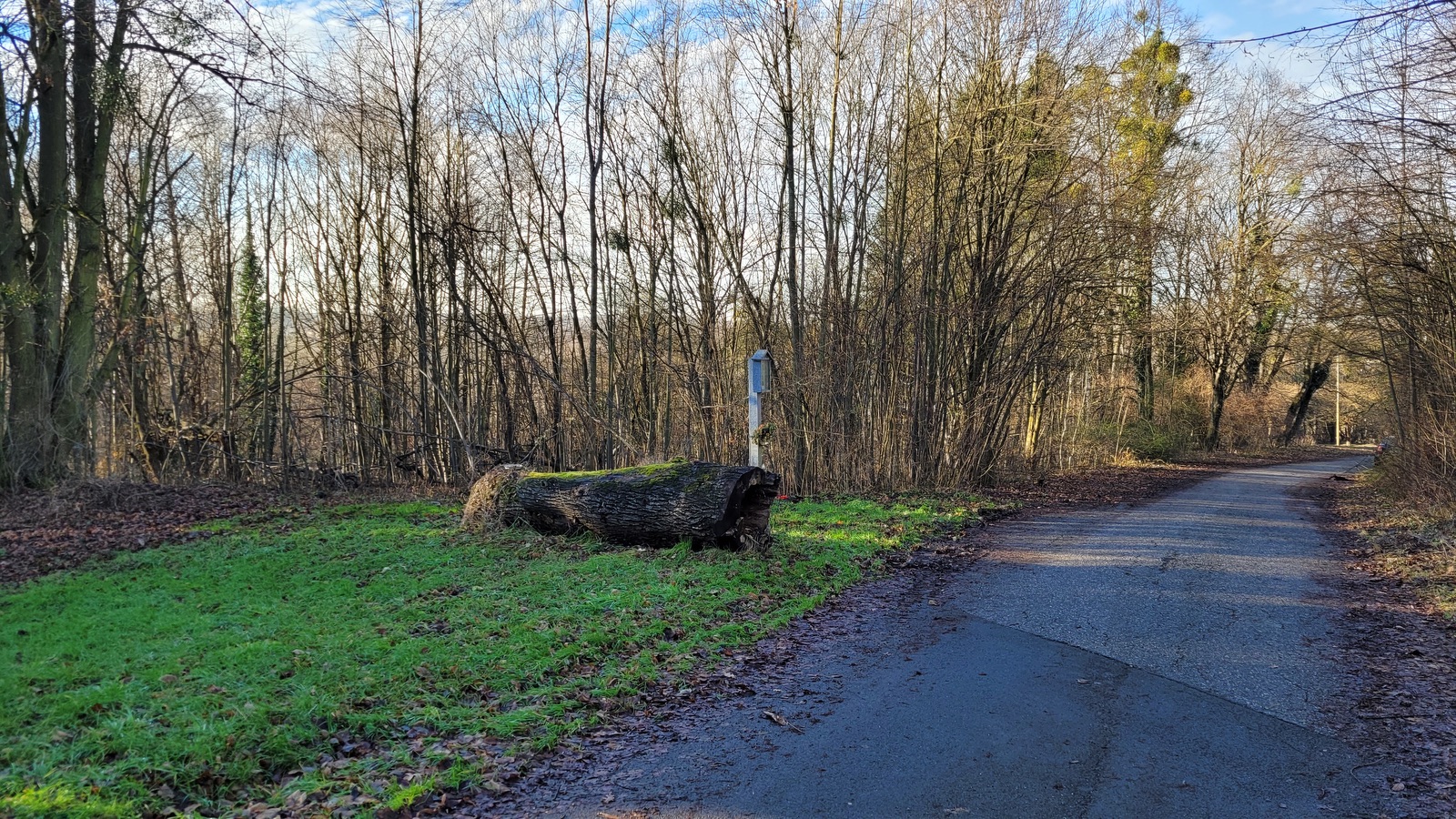 Obrázek Panny Marie u bývalé kolonie Mühsam v Orlové. Místu se říkalo: U Obrozka. Nynější podoba s nápisem Awe Maria pochází z roku 1941. Do té doby byl obrázek Panny Marie dle potřeby obměňován a upevňován na prostřední ze tří líp vysázených na upomínku tragické smrti asi tří lidí na počátku 20. století. V současné době již ani jedna lípa nestojí, jen torzo jednoho kmene leží poblíž... (Fotografováno: 28.12.2023. Autor a popis: Petr Bindač)