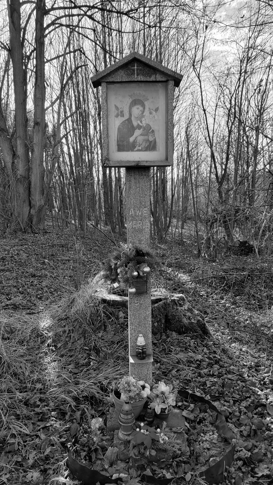 Obrázek Panny Marie u bývalé kolonie Mühsam v Orlové. Místu se říkalo: U Obrozka. Nynější podoba s nápisem Awe Maria pochází z roku 1941. Do té doby byl obrázek Panny Marie dle potřeby obměňován a upevňován na prostřední ze tří líp vysázených na upomínku tragické smrti asi tří lidí na počátku 20. století. V současné době již ani jedna lípa nestojí, jen torzo jednoho kmene leží poblíž... (Fotografováno: 28.12.2023. Autor a popis: Petr Bindač)