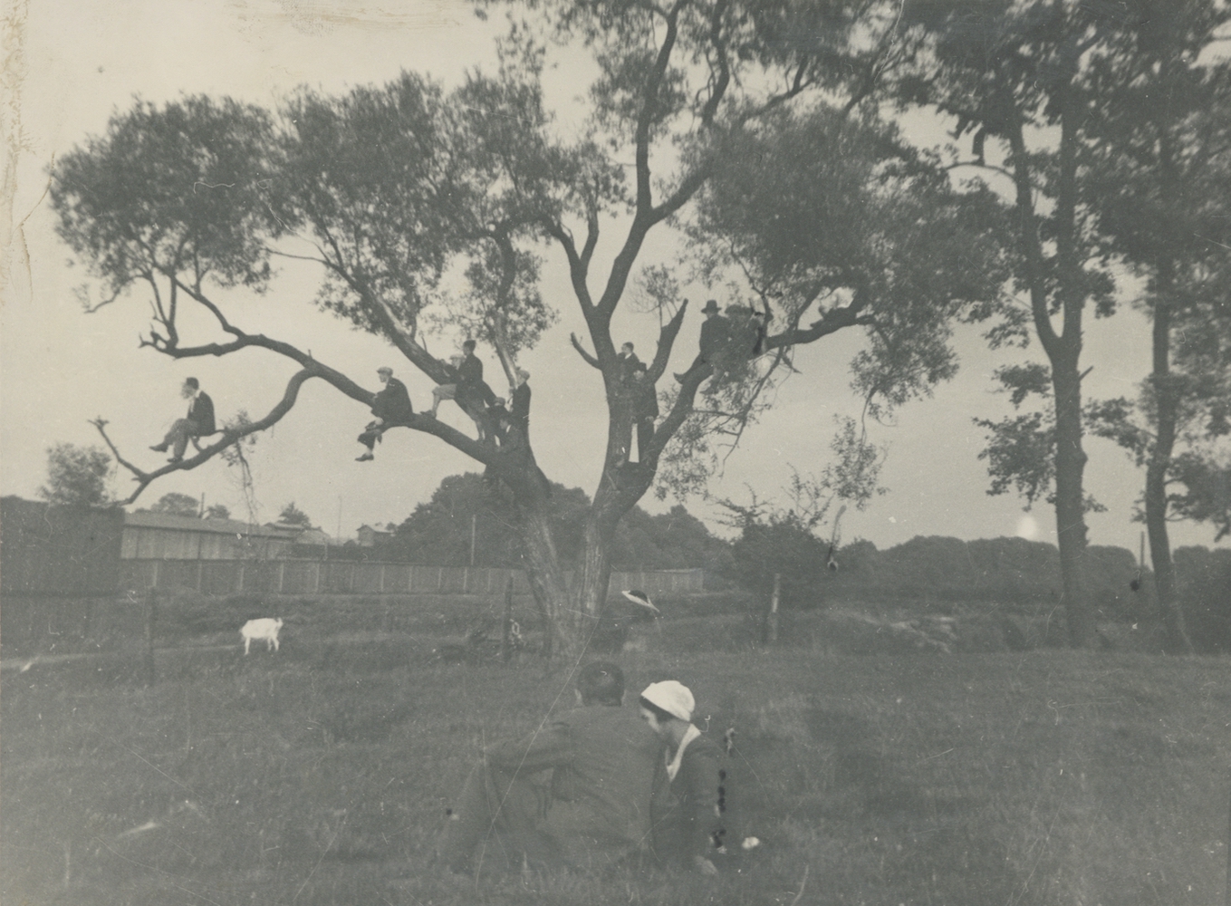 Neplatící diváci sledují fotbalový zápas na hřišti PKS Polonia Karwina v roce 1933