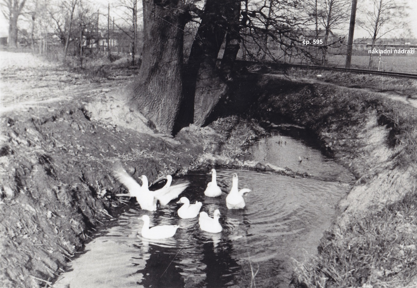 U Karvinského potoka... (Identifikace fotografie a označení objektů: Petr Bindač)