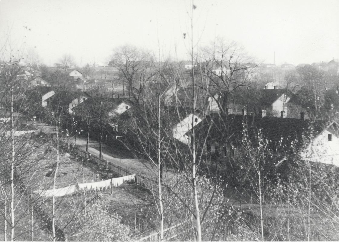 Bílá kolonie (Kolonie číslo VI, „Na šustym“)