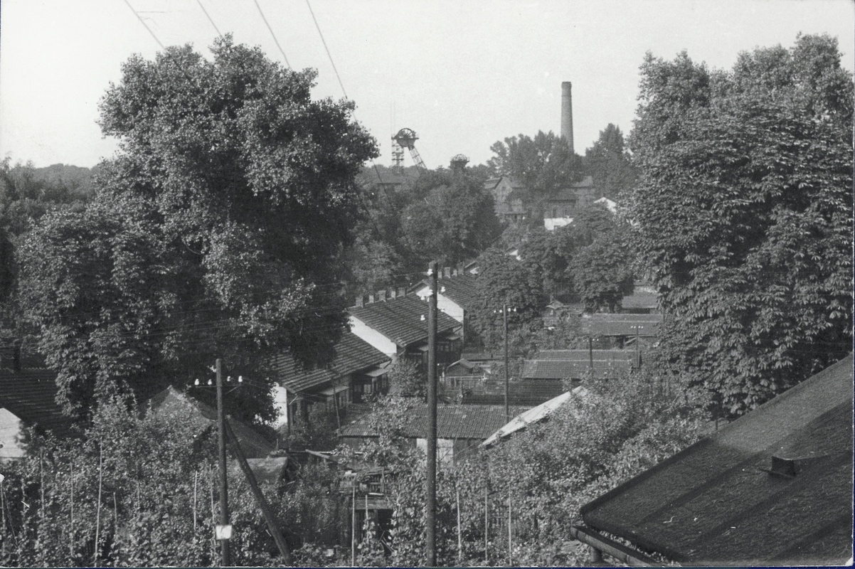 Bílá kolonie (Kolonie číslo VI, „Na šustym“)