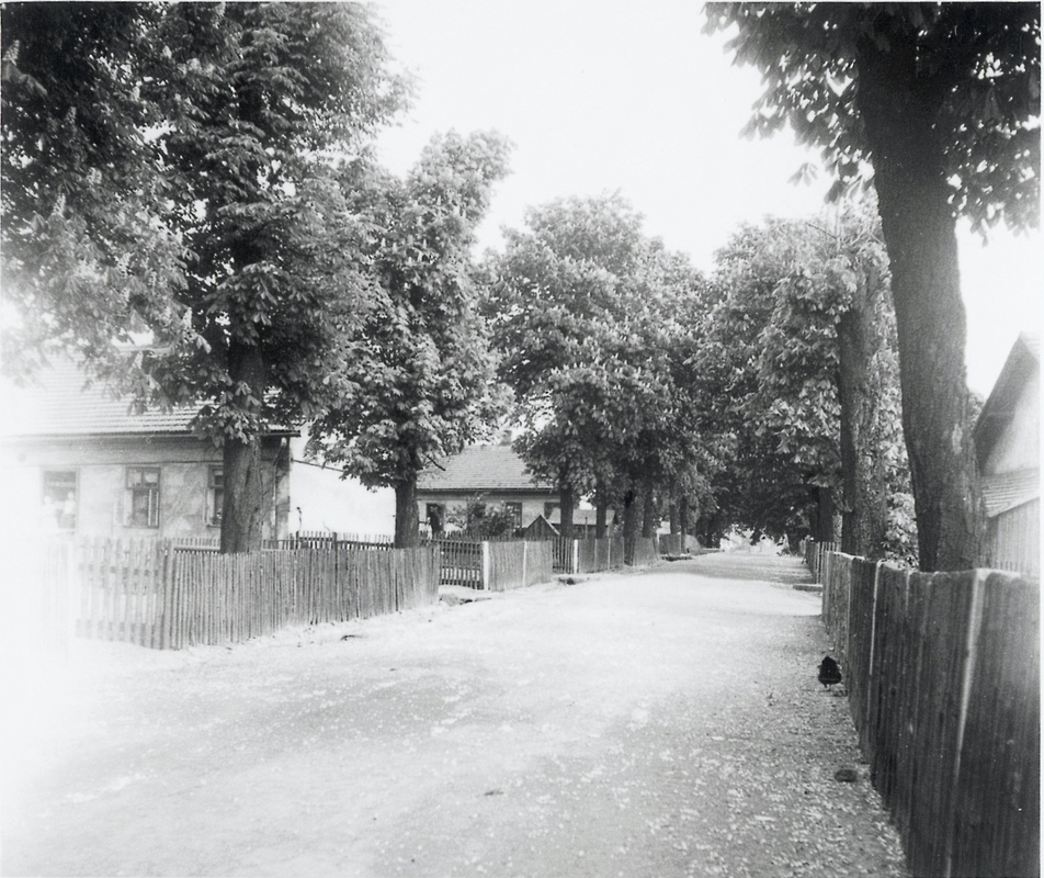 Bílá kolonie (Kolonie číslo VI, „Na šustym“)