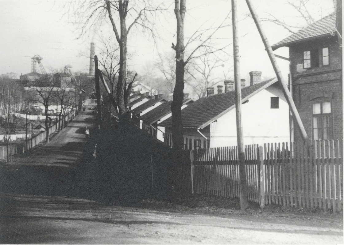 Bílá kolonie (Kolonie číslo VI, „Na šustym“)