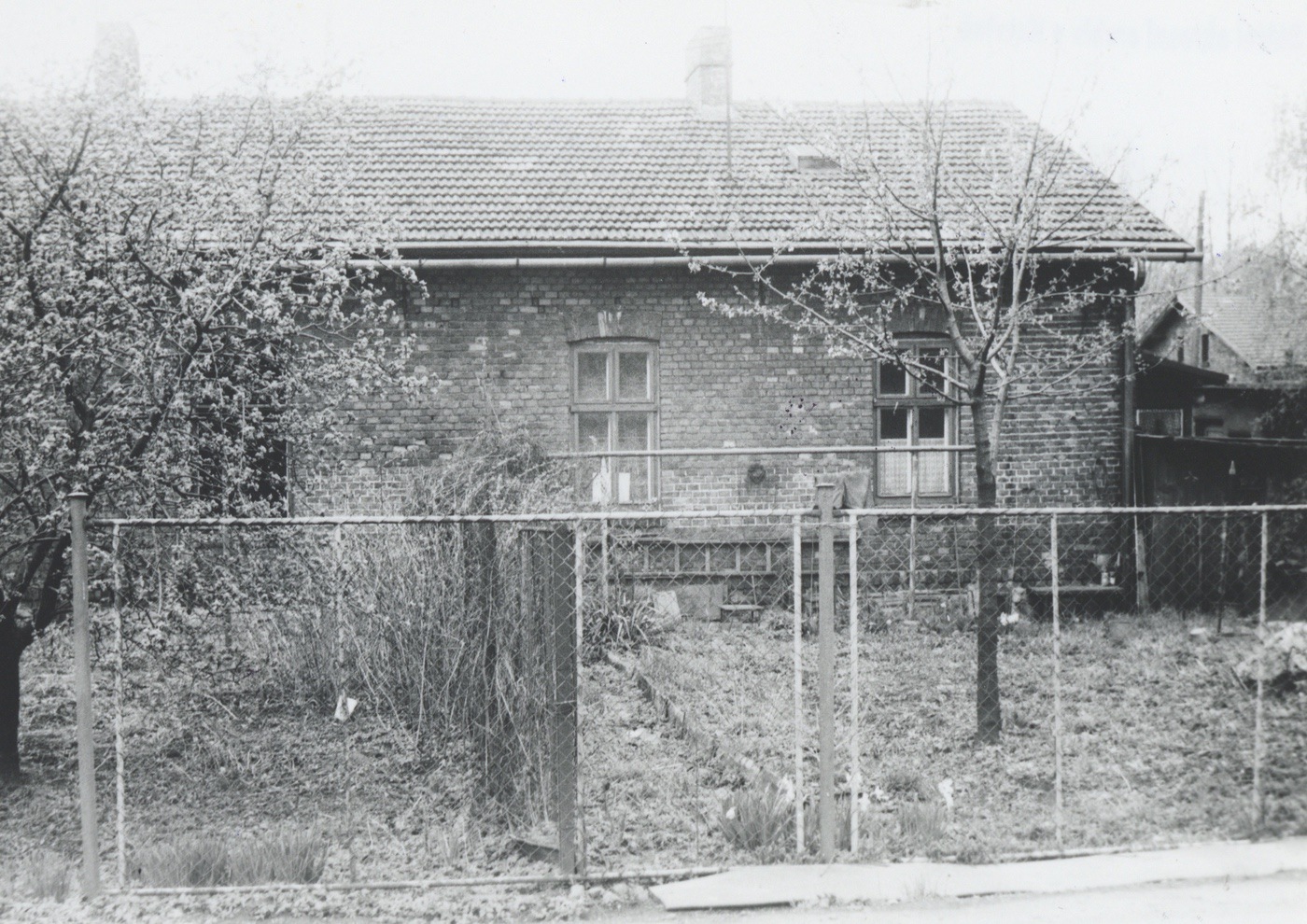 Záběr z Červené kolonie