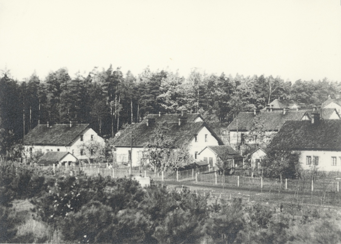 Nejstarší domy postavené v Lesní kolonii čp. 877–884