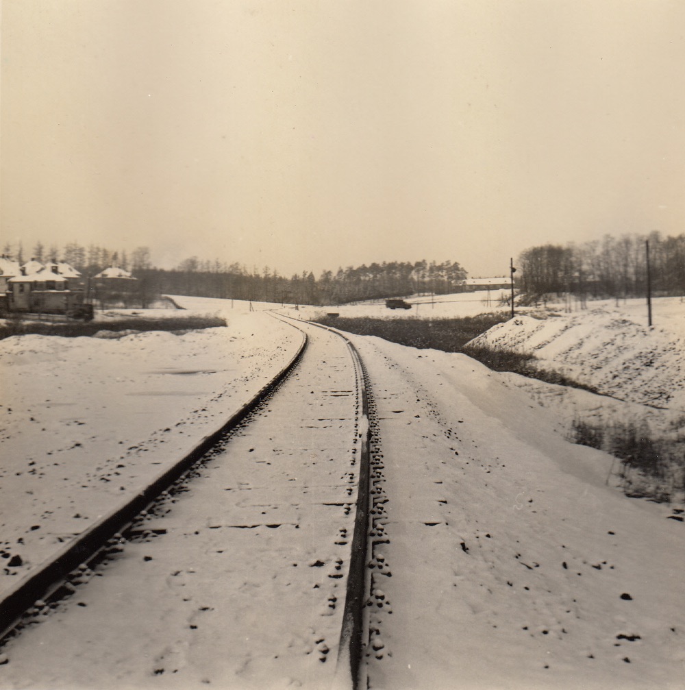 Pohled směrem k Malé lesní kolonii... Vpravo na obzoru dům čp. 1492, úplně vlevo dům čp. 1469 a za ním pak dům čp. 1367. Varianta fotografie s vyznačenými čísly popisnými na následujícím snímku...