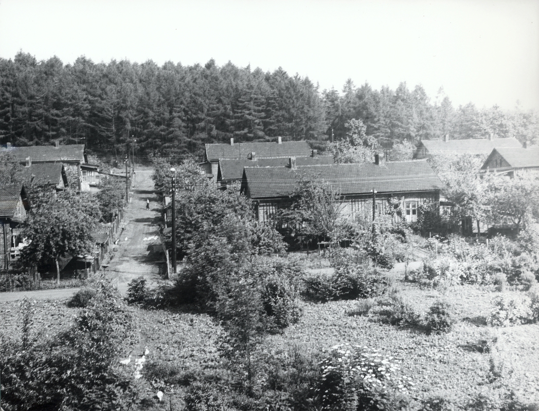 Kolonie Na Hranicích (1955)