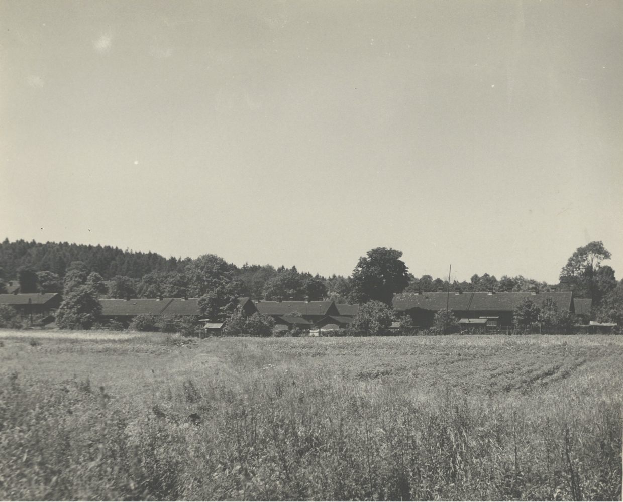 Kolonie Na Hranicích